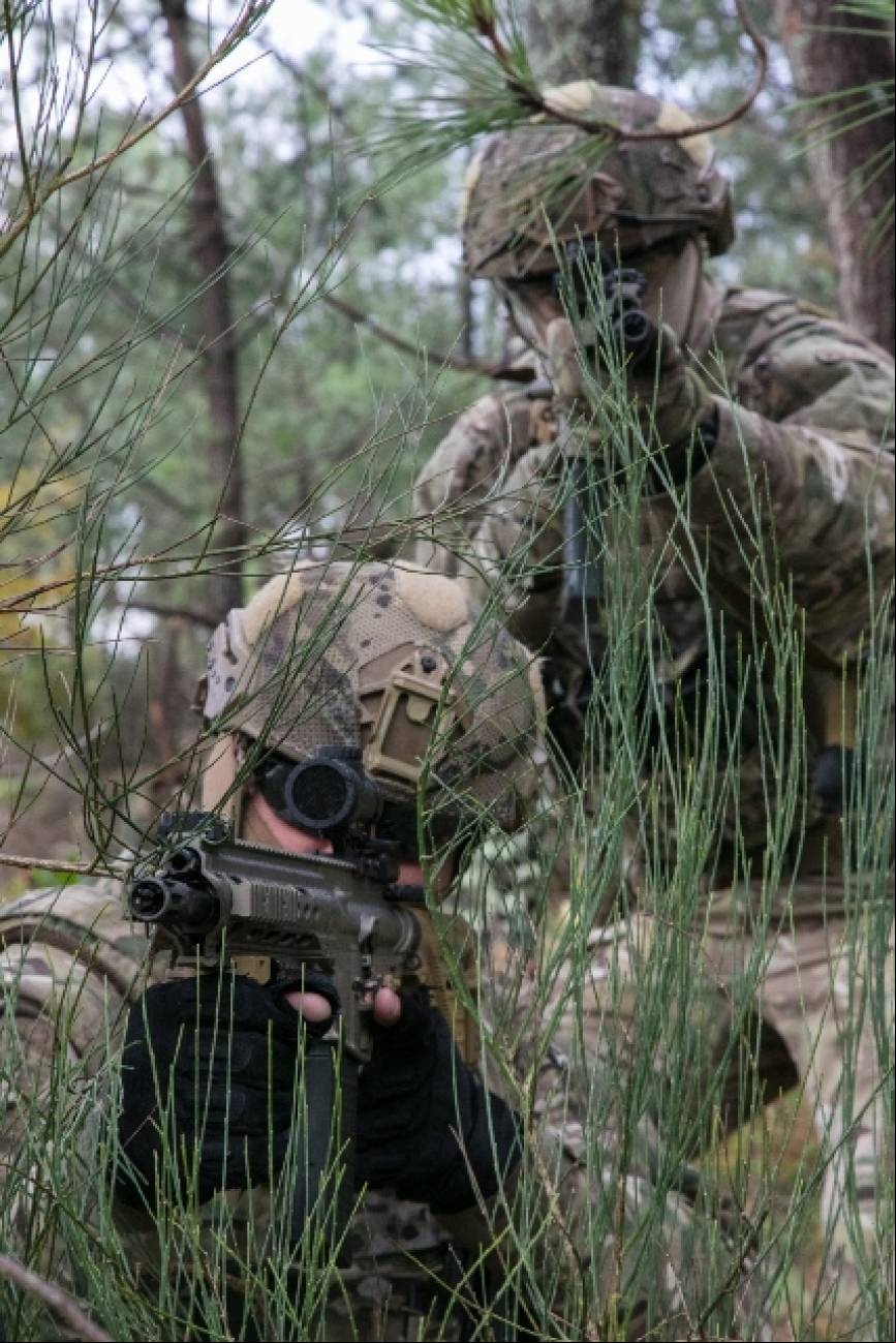 Acciones directas, reconocimientos especiales y la asistencia militar a las naciones aliadas o amigas son sus principales misiones.