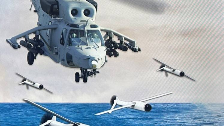 En las semialas de este helic